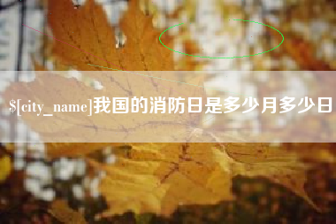 无为我国的消防日是多少月多少日