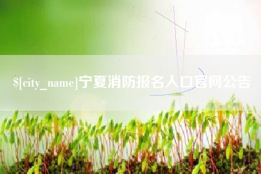 无为宁夏消防报名入口官网公告