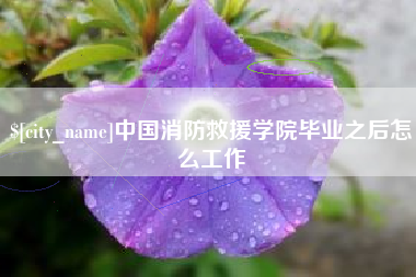 无为中国消防救援学院毕业之后怎么工作