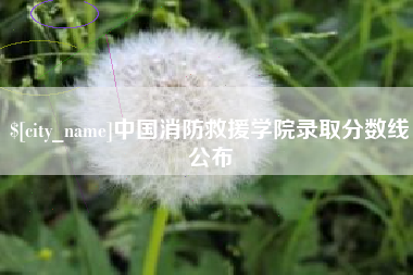 无为中国消防救援学院录取分数线公布