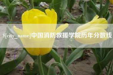 无为中国消防救援学院历年分数线