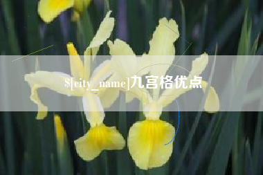无为九宫格优点