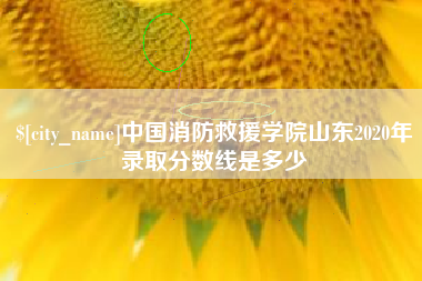 无为中国消防救援学院山东2020年录取分数线是多少