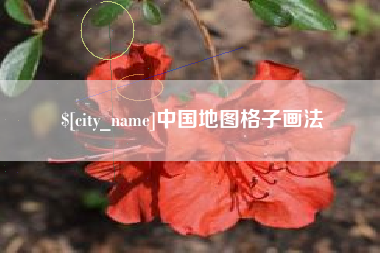 无为中国地图格子画法