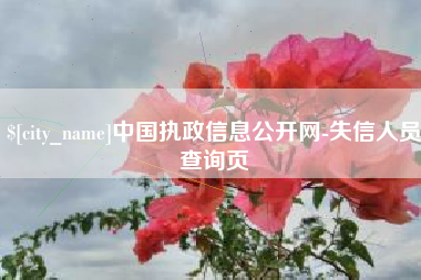 无为中国执政信息公开网-失信人员查询页