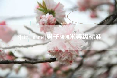 无为男子5000米等级标准