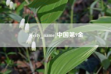 无为中国第9金