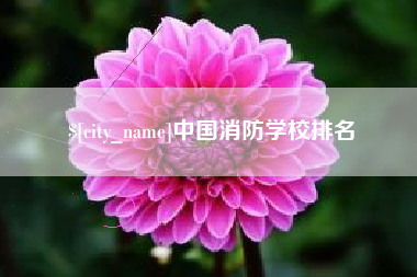 无为中国消防学校排名