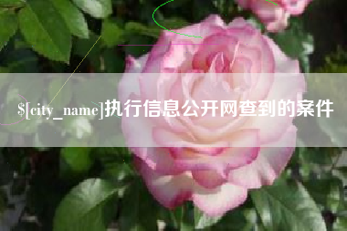 无为执行信息公开网查到的案件