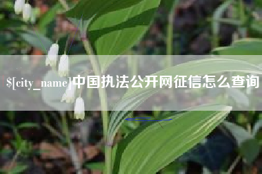 无为中国执法公开网征信怎么查询