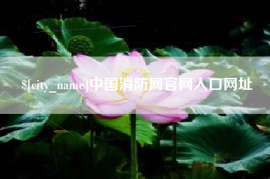 无为中国消防网官网入口网址