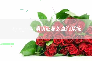 无为消防证怎么查询系统