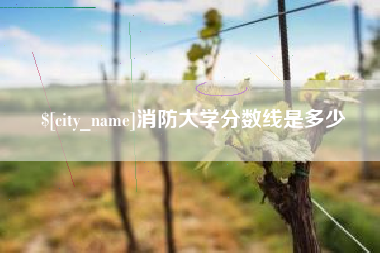 无为消防大学分数线是多少