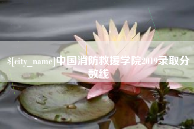 无为中国消防救援学院2019录取分数线