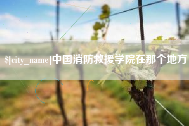 无为中国消防救援学院在那个地方