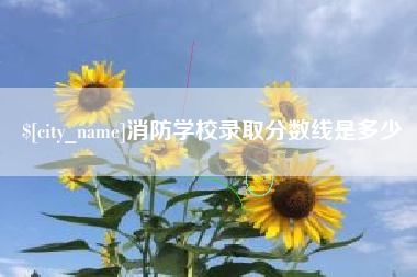 无为消防学校录取分数线是多少
