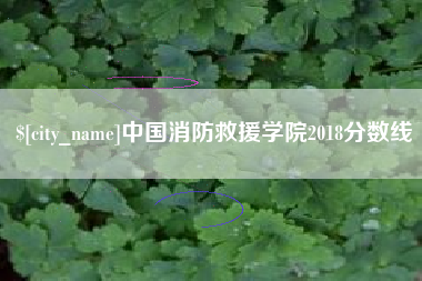 无为中国消防救援学院2018分数线