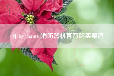 无为消防器材官方购买渠道