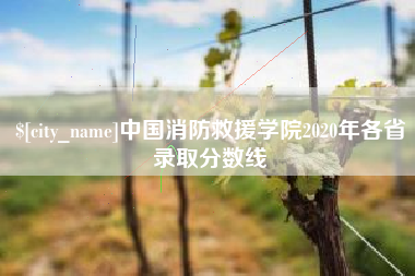 无为中国消防救援学院2020年各省录取分数线