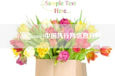 无为中国执行网信息官网
