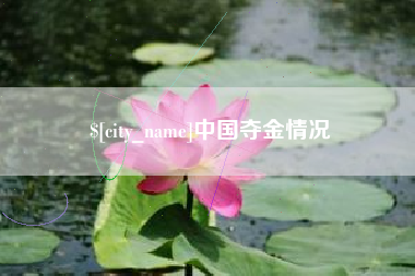 无为中国夺金情况