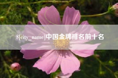 无为中国金牌排名前十名