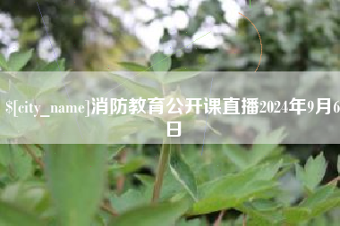 无为消防教育公开课直播2024年9月6日