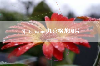 无为九宫格龙图片
