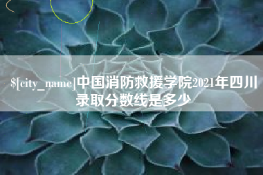无为中国消防救援学院2021年四川录取分数线是多少