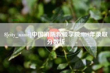 无为中国消防救援学院2019年录取分数线