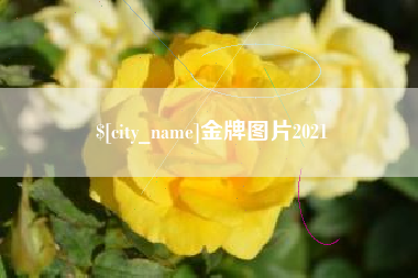 无为金牌图片2021
