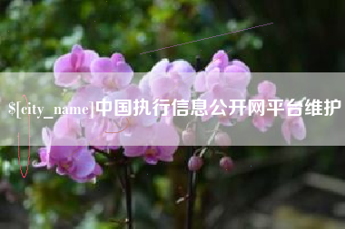 无为中国执行信息公开网平台维护