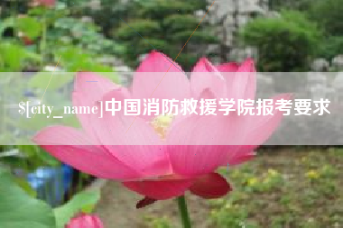 无为中国消防救援学院报考要求