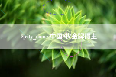 无为中国9枚金牌得主