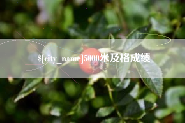 无为5000米及格成绩