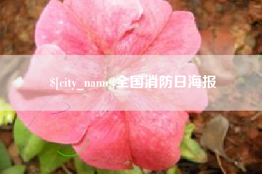 无为全国消防日海报