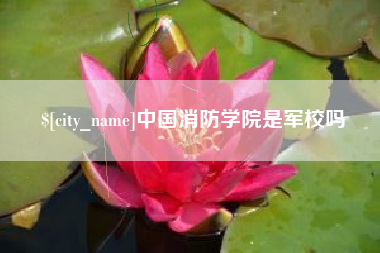 无为中国消防学院是军校吗
