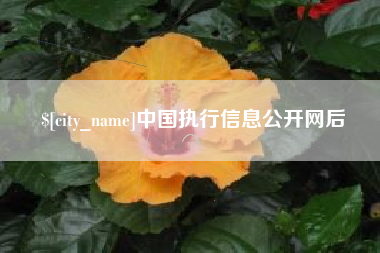 无为中国执行信息公开网后