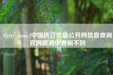 无为中国执行信息公开网信息查询官网限消中查询不到