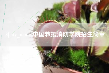 无为中国救援消防学院招生简章