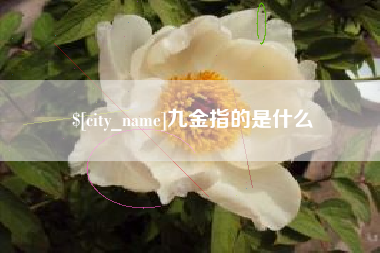 无为九金指的是什么