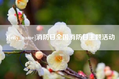 无为消防日全国消防日主题活动