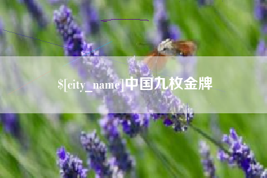 无为中国九枚金牌