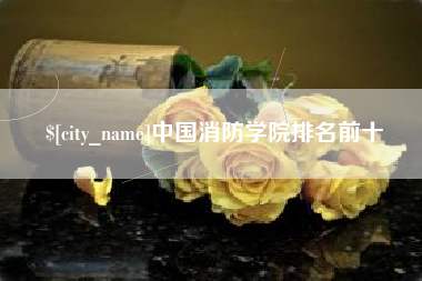 无为中国消防学院排名前十