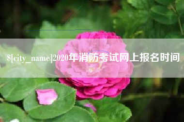 无为2020年消防考试网上报名时间