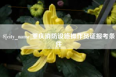 无为重庆消防设施操作员证报考条件