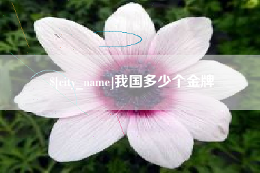 无为我国多少个金牌