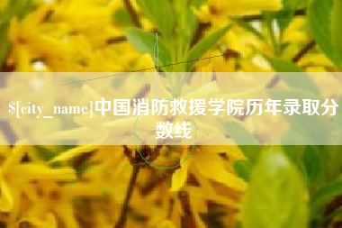 无为中国消防救援学院历年录取分数线