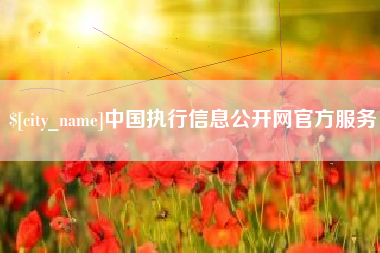 无为中国执行信息公开网官方服务