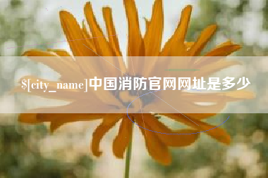 无为中国消防官网网址是多少